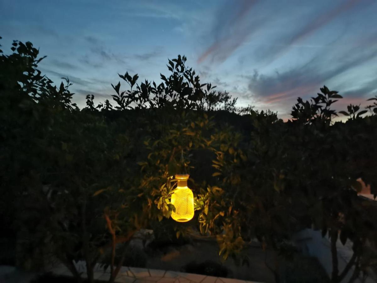 Holiday Home Liberan 尼亚卢卡 外观 照片
